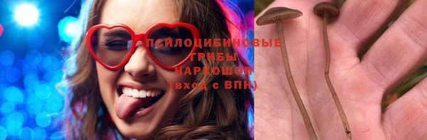 ГАЛЛЮЦИНОГЕННЫЕ ГРИБЫ Дмитриев